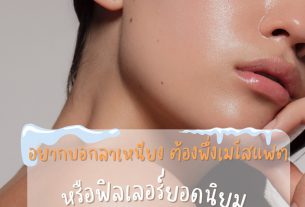 mesofat ยี่ห้อไหนดี